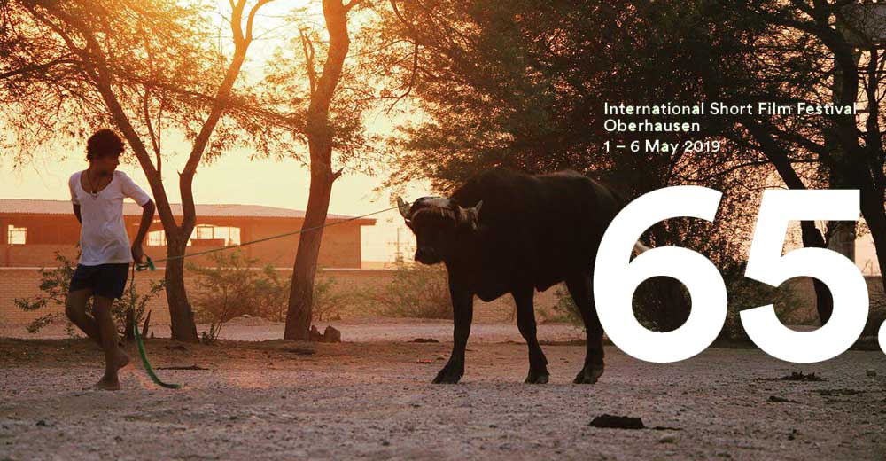 ‘American Bull’ goes to Oberhausen Film Festival