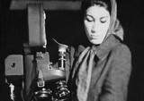Forough Farrokhzad Documentaries in Sweden