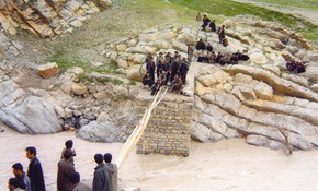 The Wooden Carpet
