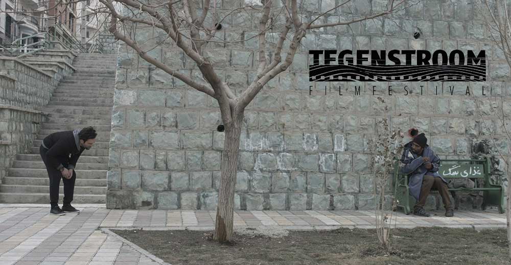 فیلم کوتاه مهدی میرزاده در جشنواره Tegenstroom هلند