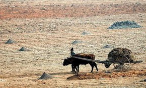 فروش حیرت‌انگیز  یک مستند مستقل در گیشه کره جنوبی